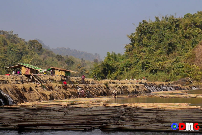 Bamboo Logging a Livelihood on Mt. Sai Tin in Buthidaung Twsp